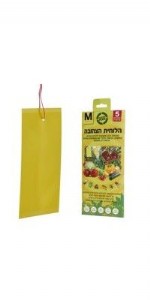 הלוחית הצהובה M מבית GREEN PLACE הלוחית הצהובה M מבית GREEN PLACE