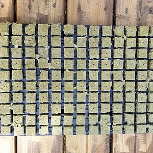 צמר סלעים לשתילה – 150 פלאגים צמר סלעים לשתילה – 150 פלאגים