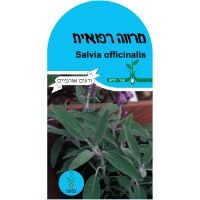 זרעי מרווה רפואית זרעי מרווה רפואית