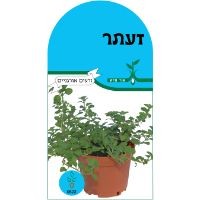 זרעי אורגנו זרעי אורגנו