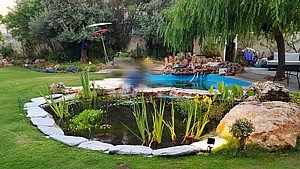 ערכה מושלמת 1000 ליטר לבריכת דגים ונוי גדולה ערכה מושלמת 1000 ליטר לבריכת דגים ונוי גדולה