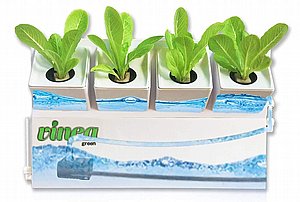 מערכת הידרופוניקה 4 צמחים מערכת הידרופוניקה 4 צמחים