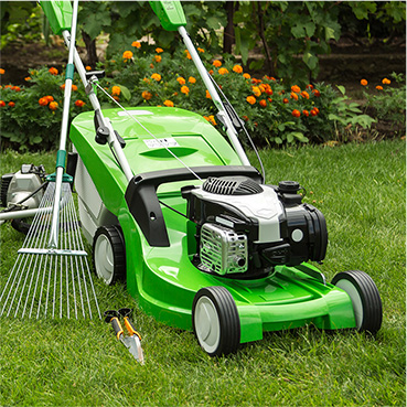 גינון השקיה ועיצוב הגינה