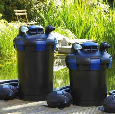 ציוד לבריכות נוי