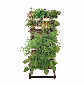 מעמד קיר ירוק 32 צמחים VineaGreen מעמד קיר ירוק 32 צמחים VineaGreen