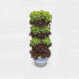 מגדל הידרופוני ורטיקלי 5 קומות ל-20 צמחים Vinea Green מגדל הידרופוני ורטיקלי 5 קומות ל-20 צמחים Vinea Green