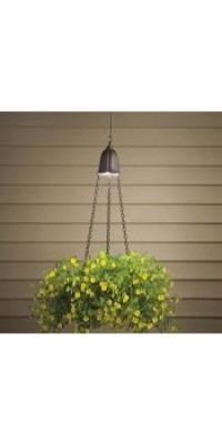 תאורה תלויה