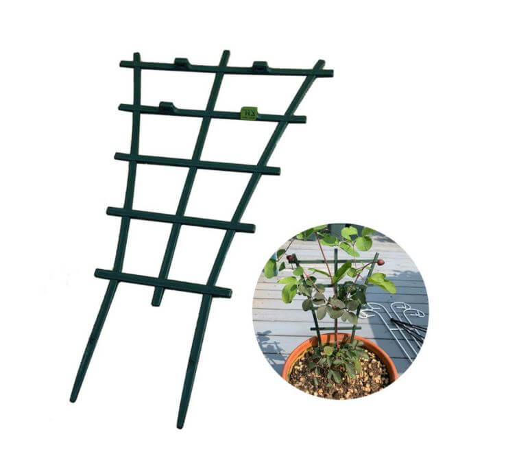 ציוד הדלייה